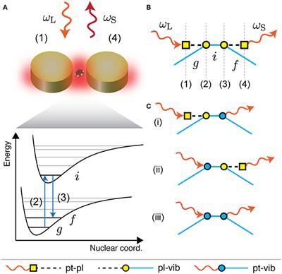 Modeling Surface-Enhanced Spectroscopy With Perturbation Theory